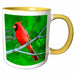 image of 11oz Two-Tone Yellow Mug