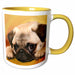 image of 15oz Two-Tone Yellow Mug