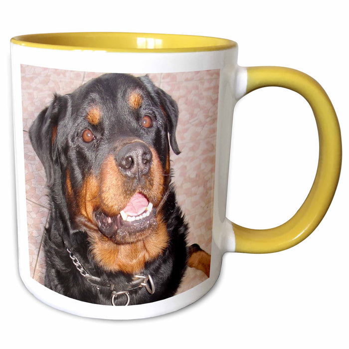 image of 11oz Two-Tone Yellow Mug