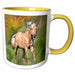 image of 15oz Two-Tone Yellow Mug