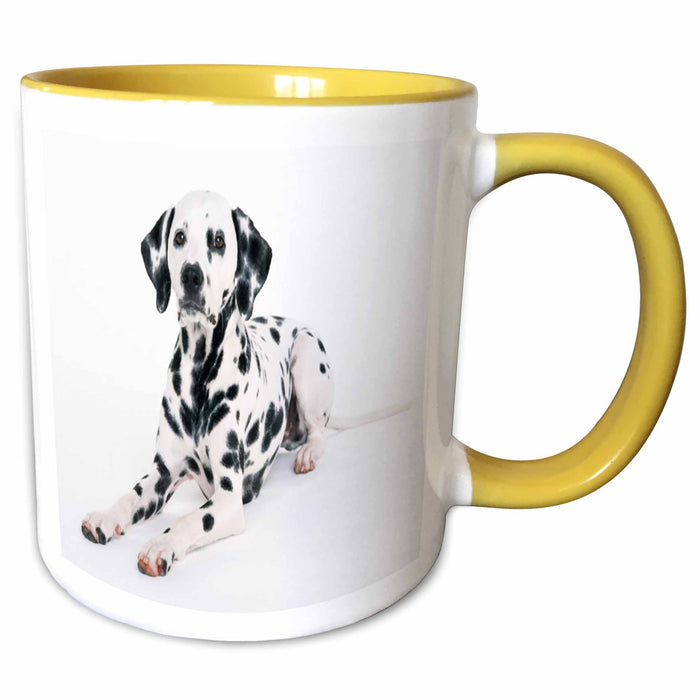 image of 15oz Two-Tone Yellow Mug