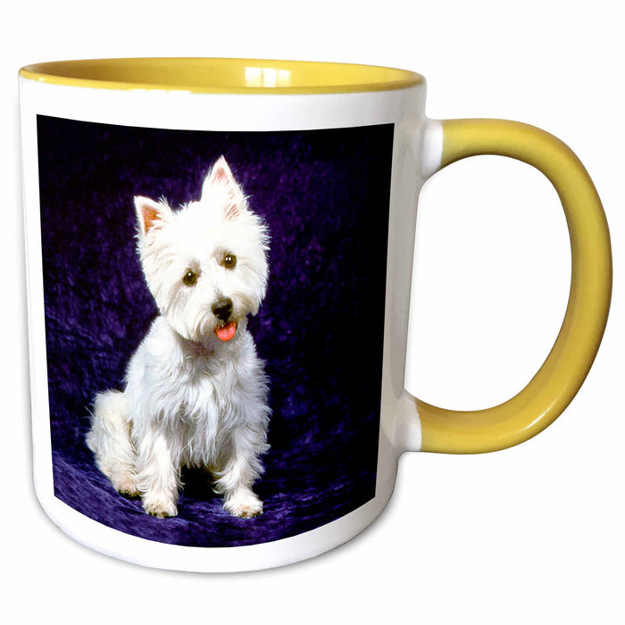 image of 11oz Two-Tone Yellow Mug