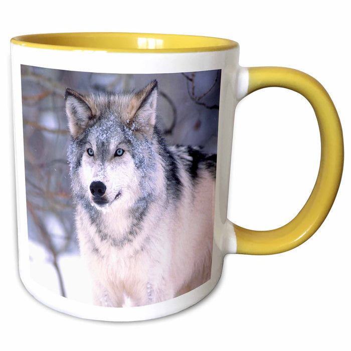 image of 11oz Two-Tone Yellow Mug