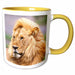 image of 11oz Two-Tone Yellow Mug