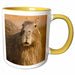 image of 15oz Two-Tone Yellow Mug