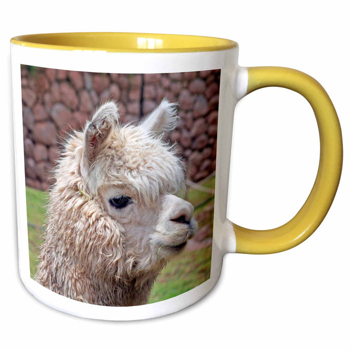 image of 11oz Two-Tone Yellow Mug