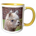 image of 11oz Two-Tone Yellow Mug