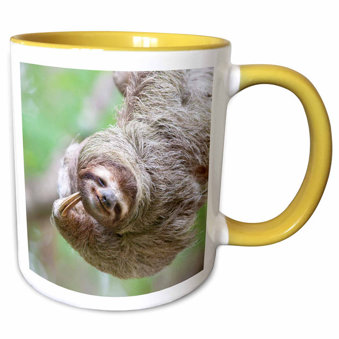 image of 11oz Two-Tone Yellow Mug