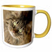 image of 15oz Two-Tone Yellow Mug