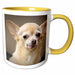 image of 15oz Two-Tone Yellow Mug