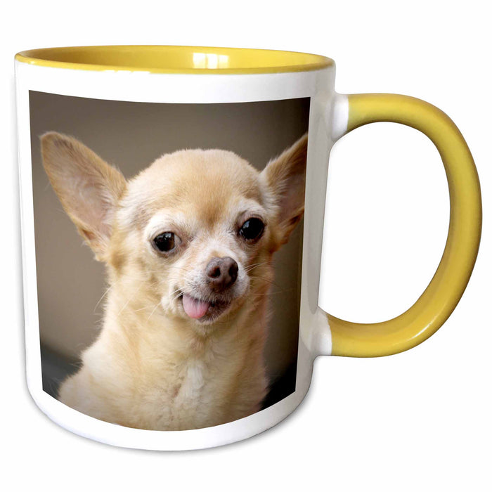 image of 11oz Two-Tone Yellow Mug