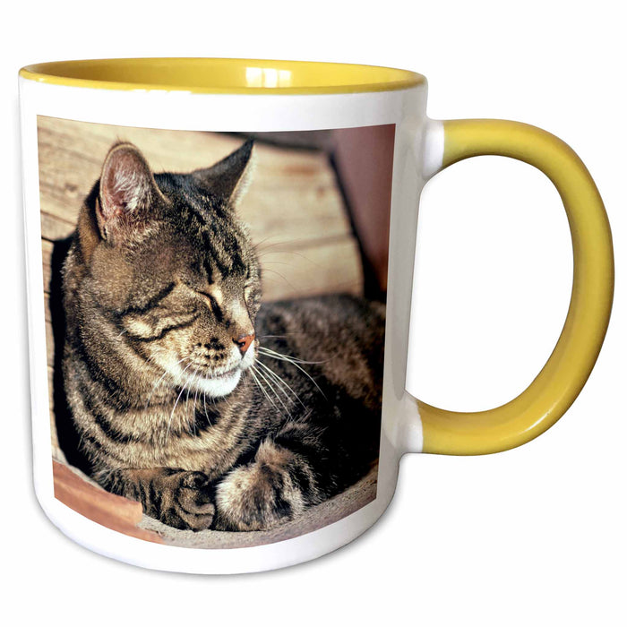 image of 11oz Two-Tone Yellow Mug