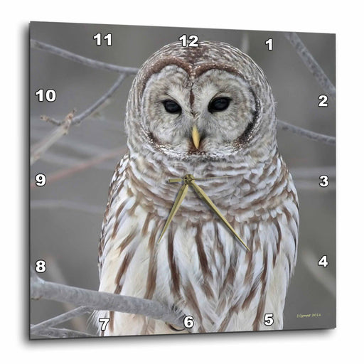 image of 10x10 Wall Clock