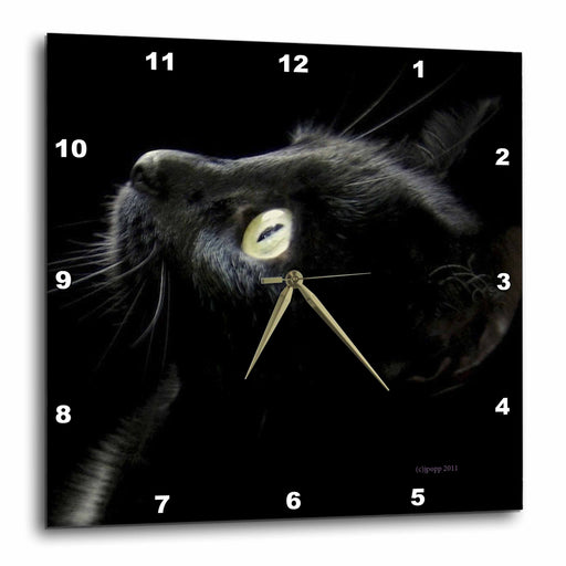 image of 10x10 Wall Clock