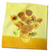 image of 11x12 Wash Cloth for Face and Body