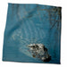 image of 11x12 Wash Cloth for Face and Body